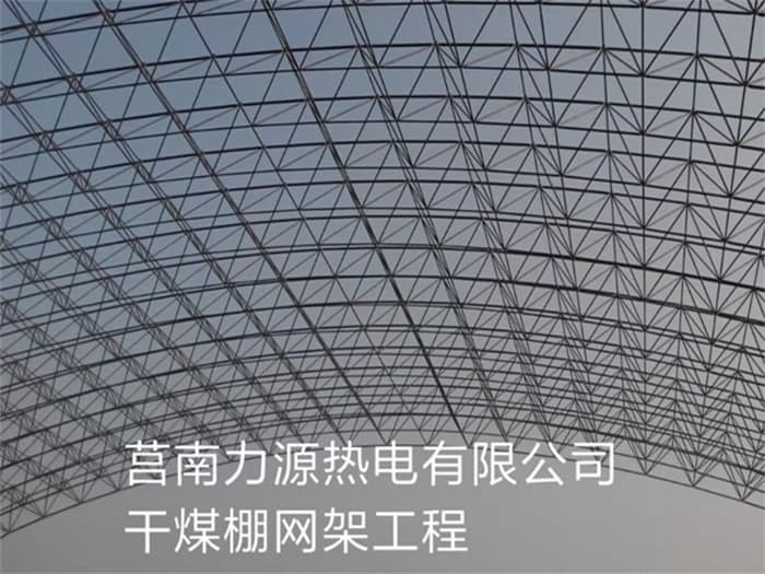 漳平力源热电有限公司干煤棚网架工程